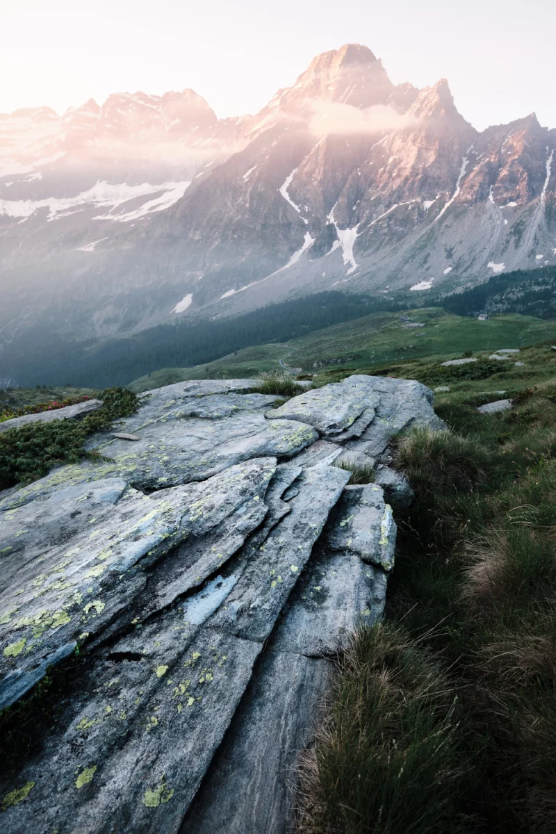 Rewolucja w Kuchni: Najlepsze AGD dla Wegan, Które Ułatwi Gotowanie!
