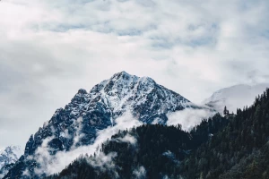 Elektronika: Klucz do Nowoczesnego Świata Technologii